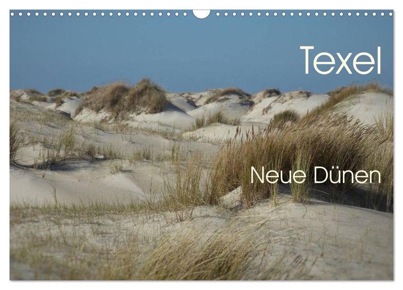 Texel. Neue Dünen (Wandkalender 2026 DIN A3 quer) CALVENDO Monatskalender