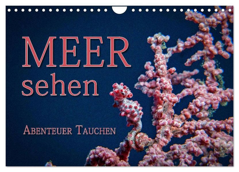 Meer sehen - Abenteuer Tauchen (Wandkalender 2026 DIN A4 quer) CALVENDO Monatskalender