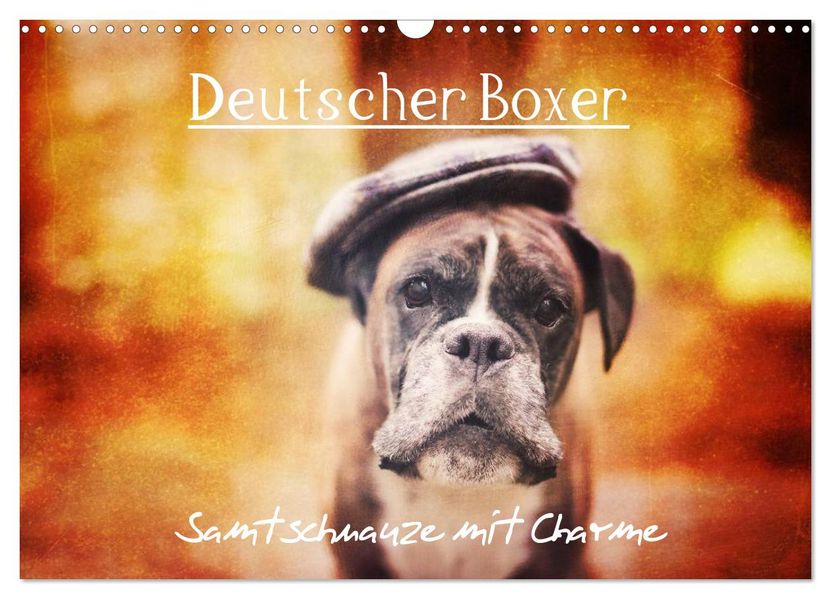 Deutscher Boxer (Wandkalender 2026 DIN A3 quer) CALVENDO Monatskalender