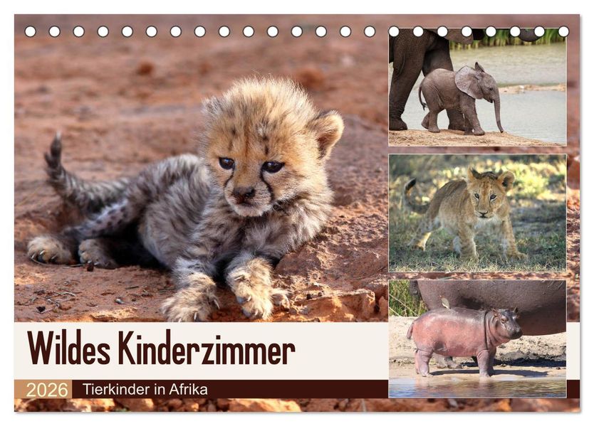 Wildes Kinderzimmer - Tierkinder in Afrika (Tischkalender 2026 DIN A5 quer) CALVENDO Monatskalender