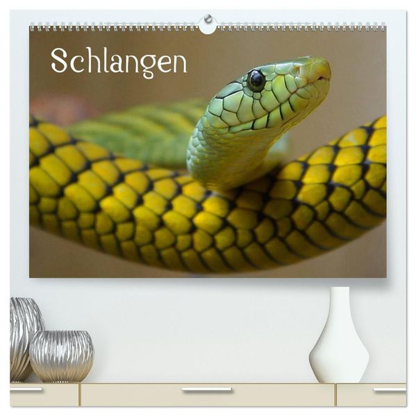 Schlangen (hochwertiger Premium Wandkalender 2026 DIN A2 quer) Kunstdruck in Hochglanz