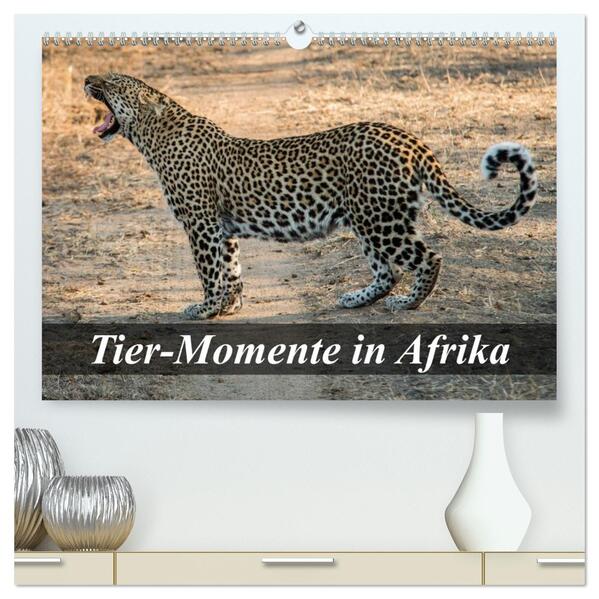 Tier-Momente in Afrika (hochwertiger Premium Wandkalender 2026 DIN A2 quer) Kunstdruck in Hochglanz