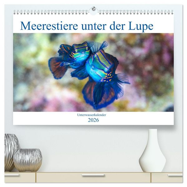 Meerestiere unter der Lupe - Unterwasserkalender (hochwertiger Premium Wandkalender 2026 DIN A2 quer) Kunstdruck in Hochglanz