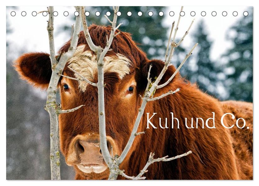 Kuh und Co. (Tischkalender 2026 DIN A5 quer) CALVENDO Monatskalender