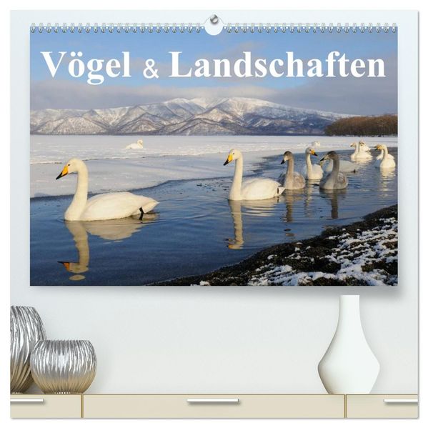Vögel & Landschaften (hochwertiger Premium Wandkalender 2026 DIN A2 quer) Kunstdruck in Hochglanz