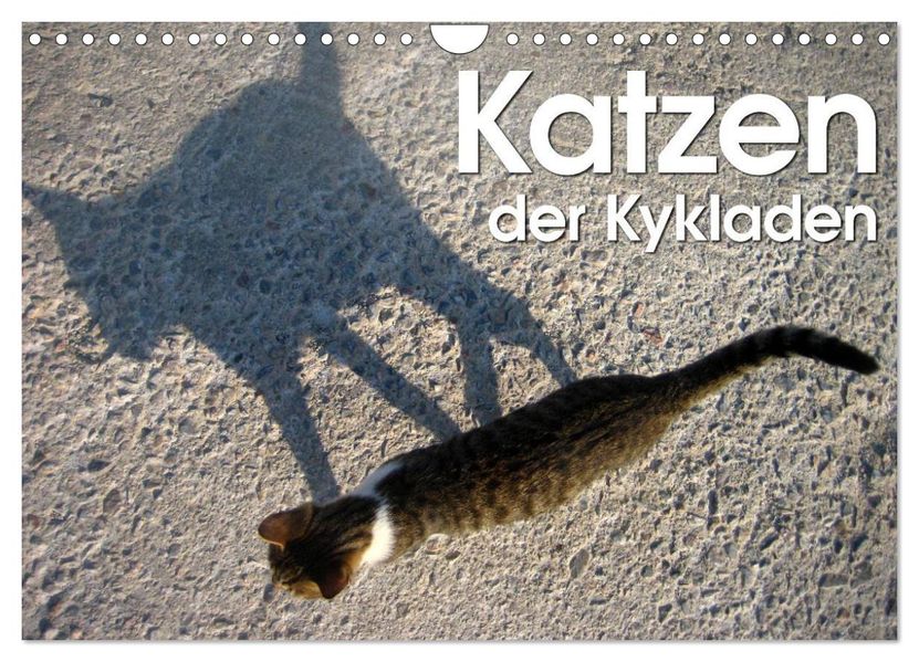 Katzen der Kykladen (Wandkalender 2026 DIN A4 quer) CALVENDO Monatskalender