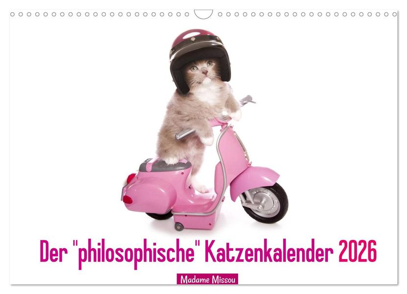 Der 'philosophische' Katzenkalender 2026 (Wandkalender 2026 DIN A3 quer) CALVENDO Monatskalender
