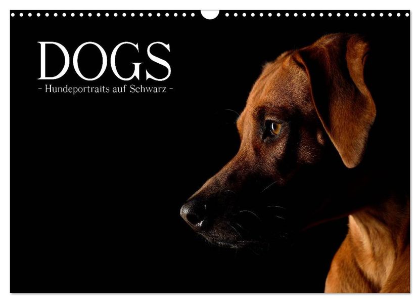 Dogs (Wandkalender 2026 DIN A3 quer) CALVENDO Monatskalender