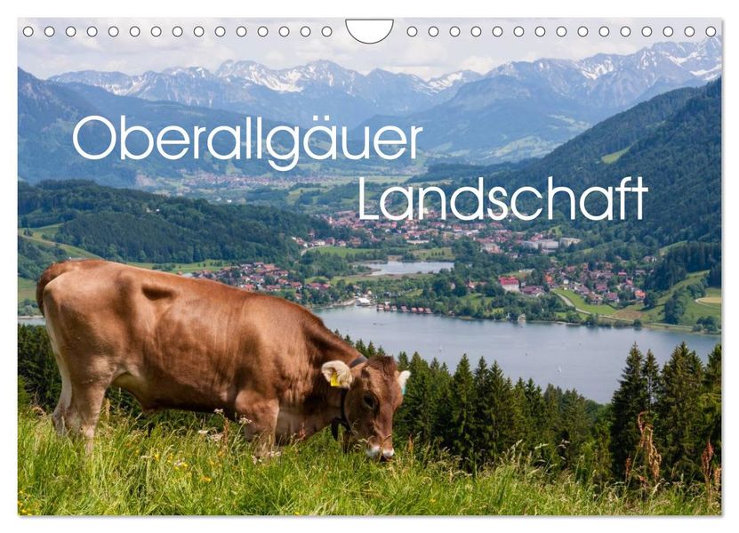 Oberallgäuer Landschaft (Wandkalender 2026 DIN A4 quer) CALVENDO Monatskalender