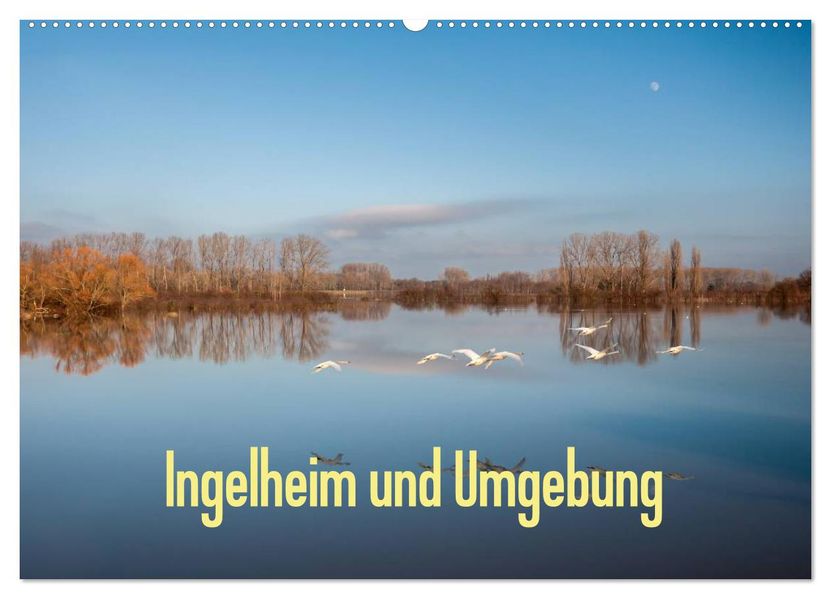 Ingelheim und Umgebung (Wandkalender 2026 DIN A2 quer) CALVENDO Monatskalender