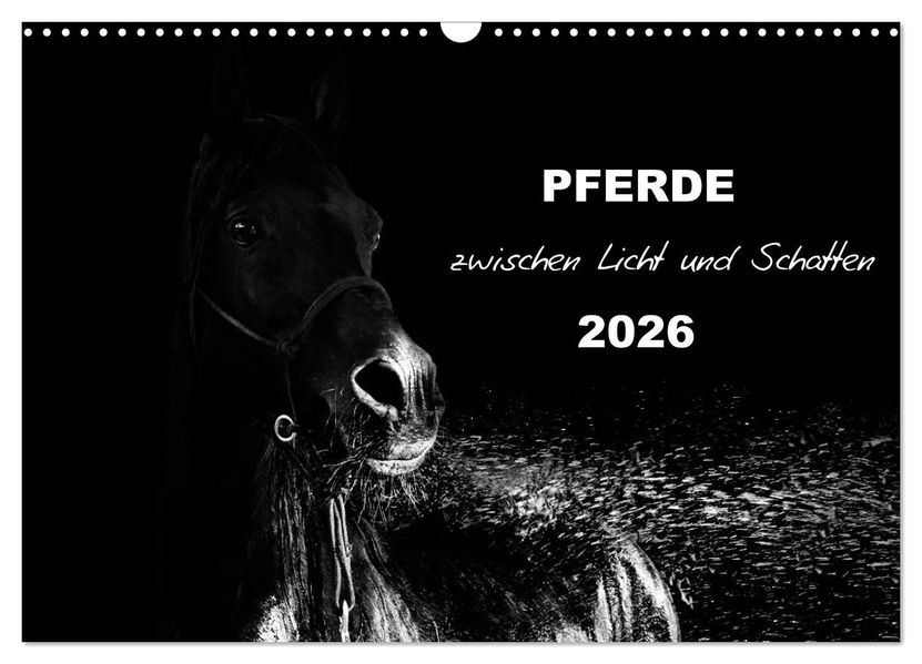 Pferde zwischen Licht und Schatten (Wandkalender 2026 DIN A3 quer) CALVENDO Monatskalender
