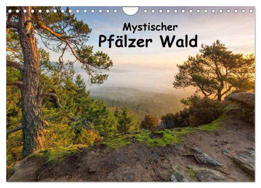 Mystischer Pfälzer Wald (Wandkalender 2026 DIN A4 quer) CALVENDO Monatskalender