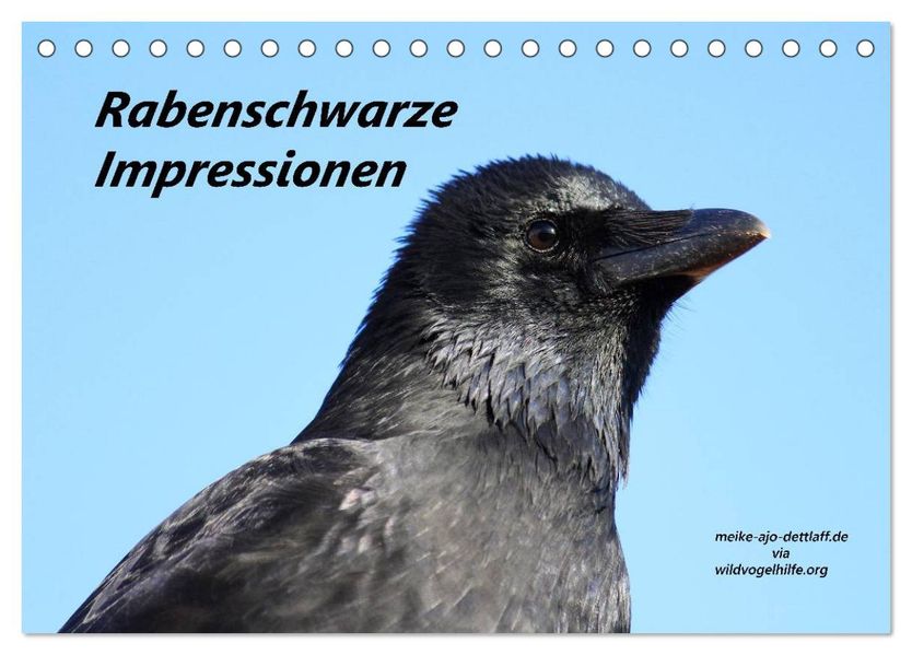 Rabenschwarze Impressionen - meike-ajo-dettlaff.de via wildvogelhlfe.org (Tischkalender 2026 DIN A5 quer) CALVENDO Monatskalender
