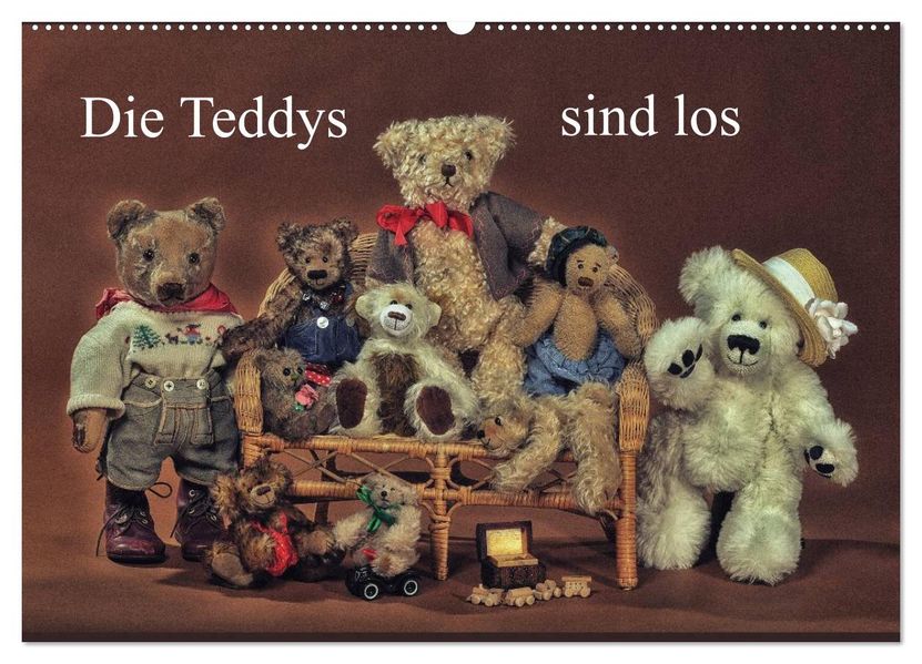 Die Teddys sind los (Wandkalender 2026 DIN A2 quer) CALVENDO Monatskalender