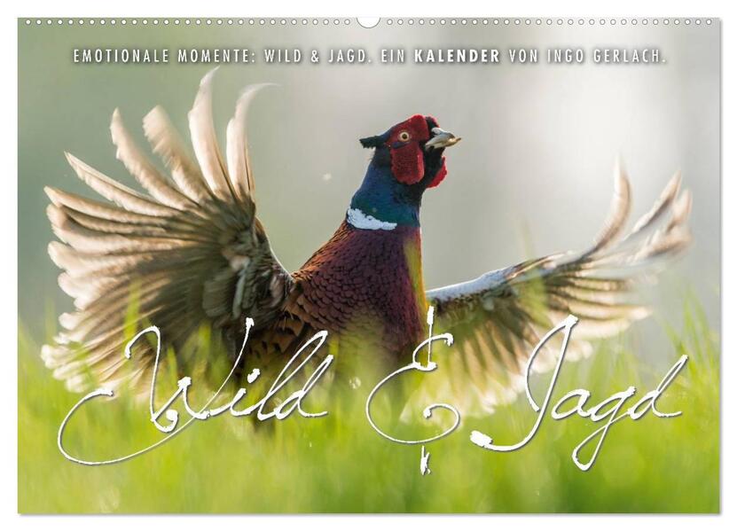 Emotionale Momente: Wild und Jagd. (Wandkalender 2026 DIN A2 quer) CALVENDO Monatskalender