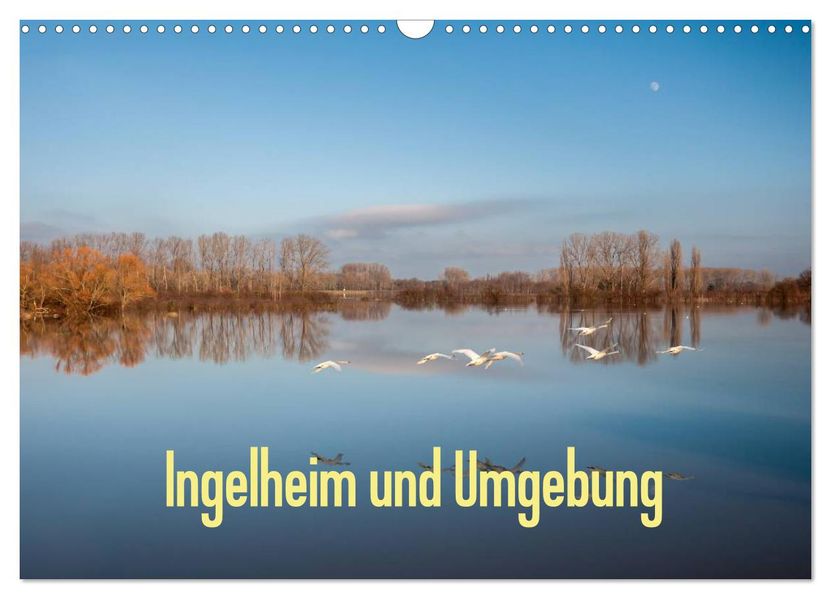 Ingelheim und Umgebung (Wandkalender 2026 DIN A3 quer) CALVENDO Monatskalender