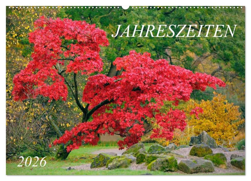 Jahreszeiten / 2026 (Wandkalender 2026 DIN A2 quer) CALVENDO Monatskalender