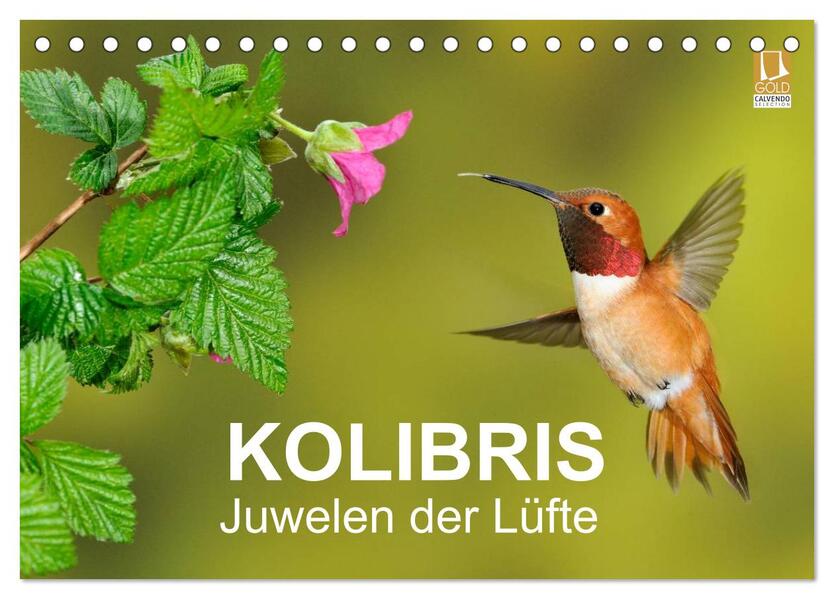 Kolibris - Juwelen der Lüfte (Tischkalender 2026 DIN A5 quer) CALVENDO Monatskalender