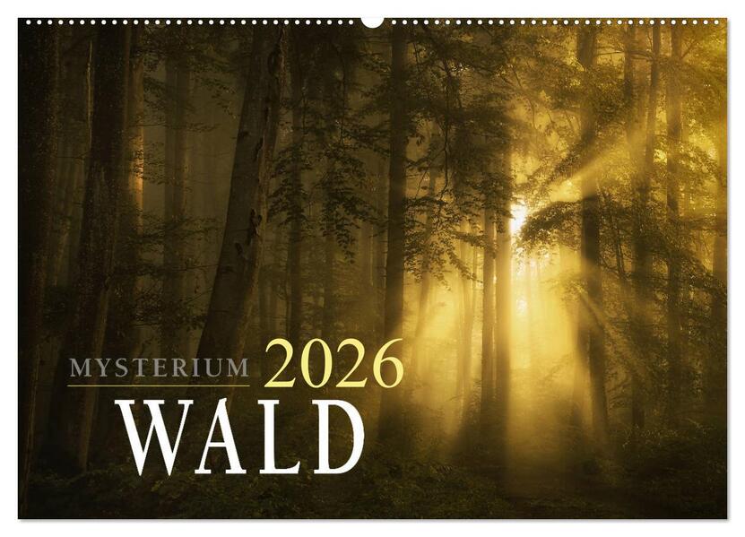 Mysterium Wald (Wandkalender 2026 DIN A2 quer) CALVENDO Monatskalender