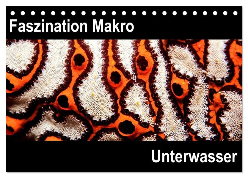 Faszination Makro Unterwasser (Tischkalender 2026 DIN A5 quer) CALVENDO Monatskalender