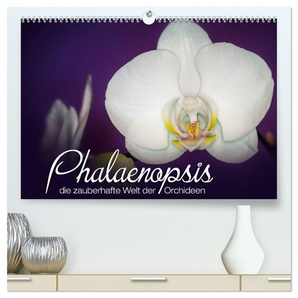 Phalaenopsis - die zauberhafte Welt der Orchideen (hochwertiger Premium Wandkalender 2026 DIN A2 quer) Kunstdruck in Hochglanz
