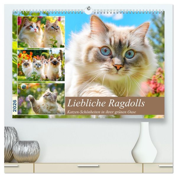 Liebliche Ragdolls. Katzen-Schönheiten in ihrer grünen Oase (hochwertiger Premium Wandkalender 2026 DIN A2 quer) Kunstdruck in Hochglanz