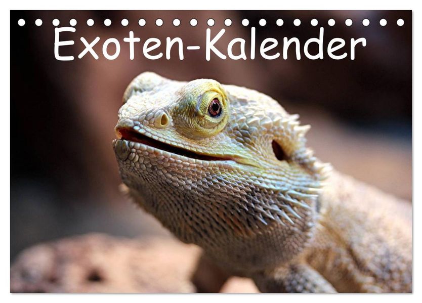 Exoten-Kalender (Tischkalender 2026 DIN A5 quer) CALVENDO Monatskalender