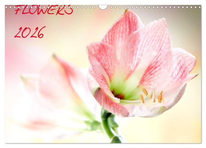 Flowers / 2026 (Wandkalender 2026 DIN A3 quer) CALVENDO Monatskalender