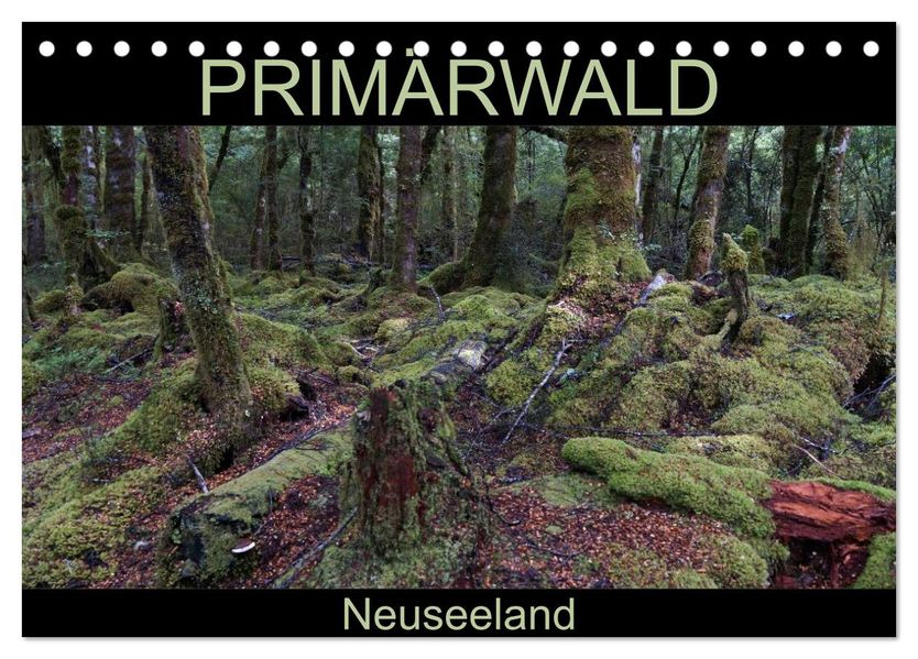Primärwald - Neuseeland (Tischkalender 2026 DIN A5 quer) CALVENDO Monatskalender