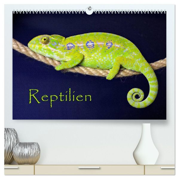 Reptilien (hochwertiger Premium Wandkalender 2026 DIN A2 quer) Kunstdruck in Hochglanz