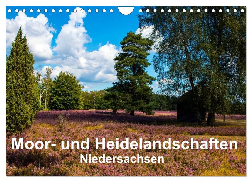 Moor- und Heidelandschaften Niedersachsen (Wandkalender 2026 DIN A4 quer) CALVENDO Monatskalender