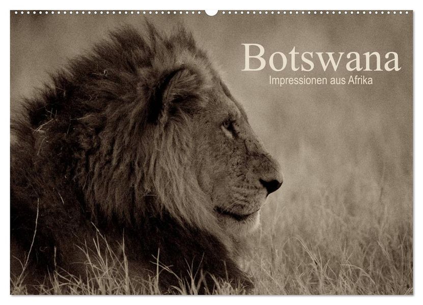 Botswana - Impressionen aus Afrika (Wandkalender 2026 DIN A2 quer) CALVENDO Monatskalender