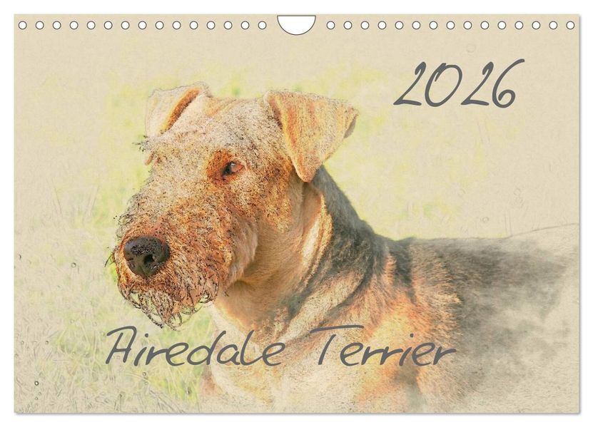 Airedale Terrier 2026 (Wandkalender 2026 DIN A4 quer) CALVENDO Monatskalender