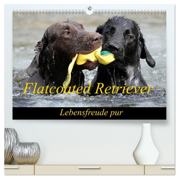 Flatcoated Retriever (hochwertiger Premium Wandkalender 2026 DIN A2 quer) Kunstdruck in Hochglanz