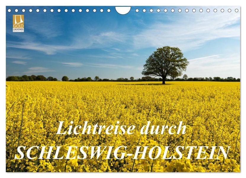 Lichtreise durch Schleswig-Holstein (Wandkalender 2026 DIN A4 quer) CALVENDO Monatskalender