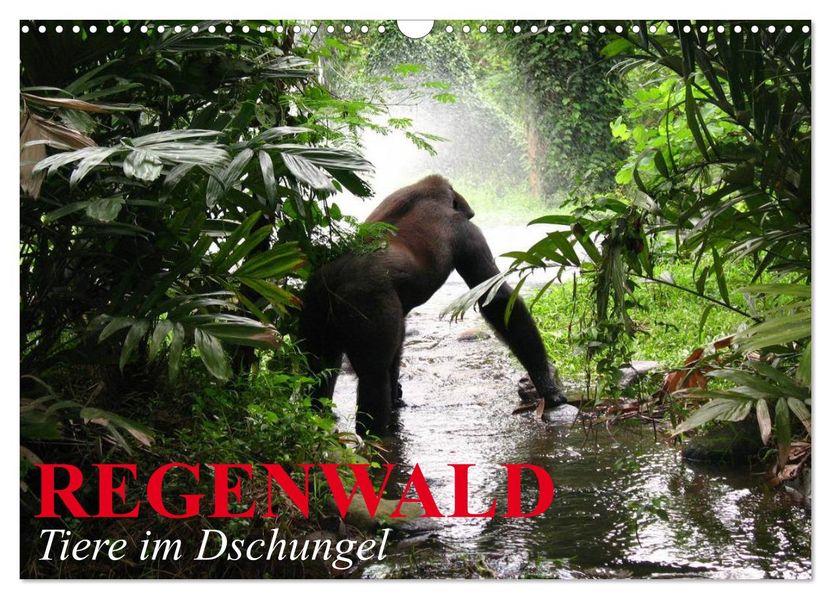 Regenwald Tiere im Dschungel (Wandkalender 2026 DIN A3 quer) CALVENDO Monatskalender