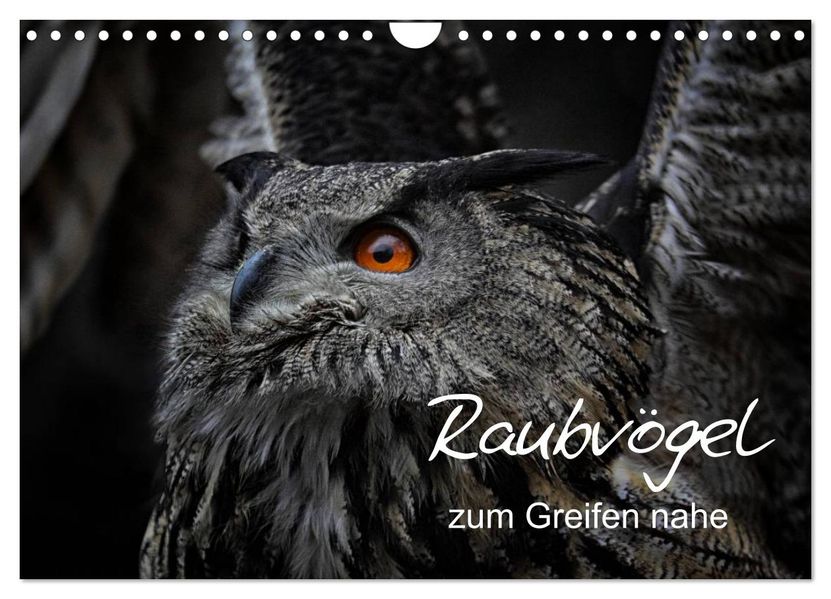 Raubvögel zum Greifen nahe (Wandkalender 2026 DIN A4 quer) CALVENDO Monatskalender
