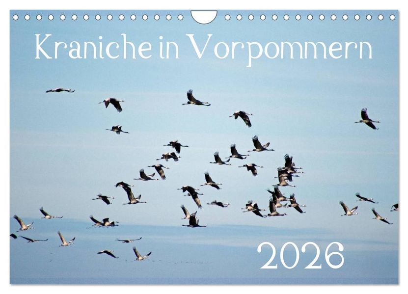 Kraniche in Vorpommern (Wandkalender 2026 DIN A4 quer) CALVENDO Monatskalender