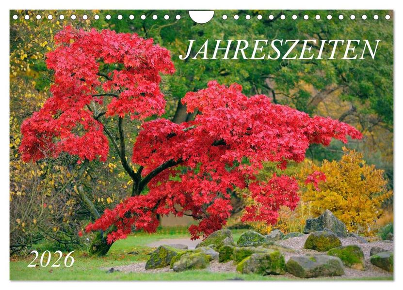Jahreszeiten / 2026 (Wandkalender 2026 DIN A4 quer) CALVENDO Monatskalender