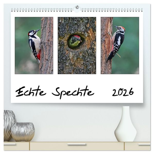 Echte Spechte (hochwertiger Premium Wandkalender 2026 DIN A2 quer) Kunstdruck in Hochglanz