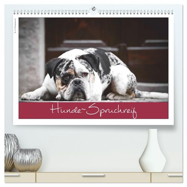 Hunde-Spruchreif (hochwertiger Premium Wandkalender 2026 DIN A2 quer) Kunstdruck in Hochglanz