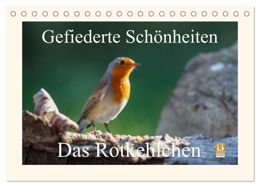 Gefiederte Schönheiten - Das Rotkehlchen (Tischkalender 2026 DIN A5 quer) CALVENDO Monatskalender