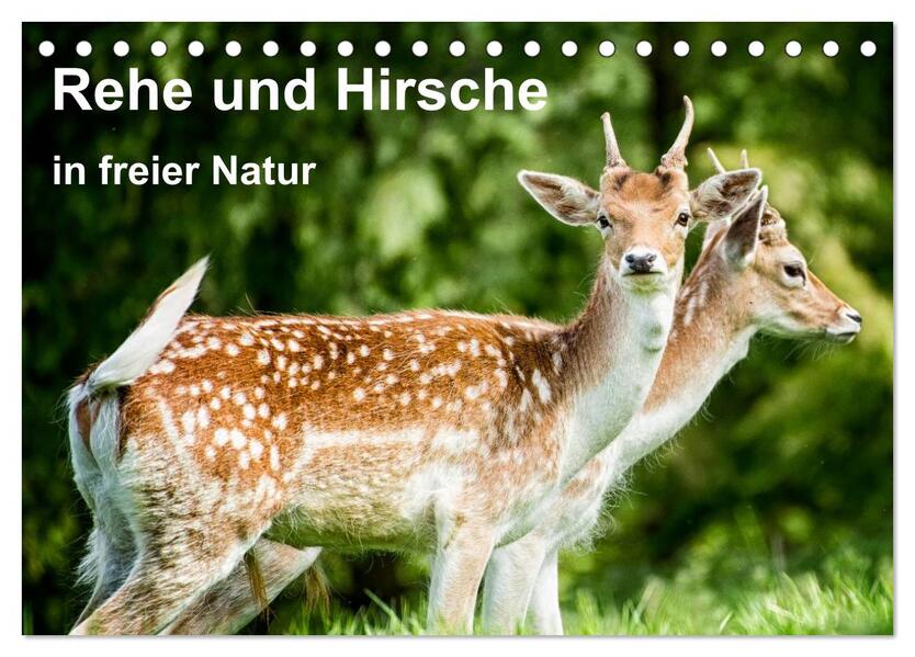 Rehe und Hirsche in freier Natur (Tischkalender 2026 DIN A5 quer) CALVENDO Monatskalender