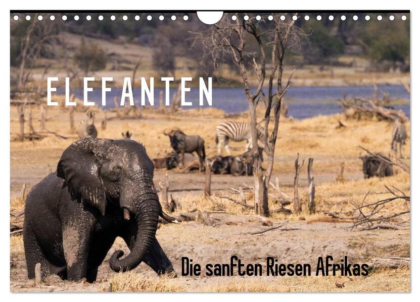Elefanten - Die sanften Riesen Afrikas (Wandkalender 2026 DIN A4 quer) CALVENDO Monatskalender