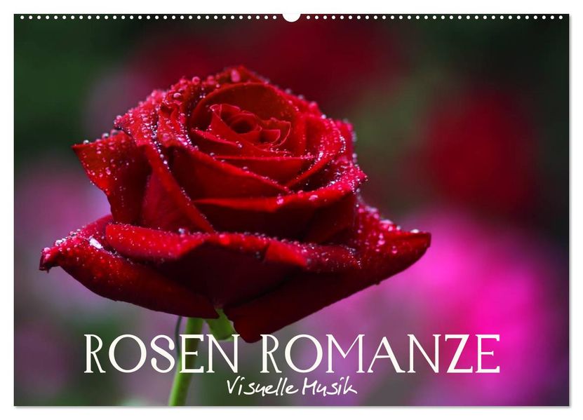 Rosen Romanze - Visuelle Musik (Wandkalender 2026 DIN A2 quer) CALVENDO Monatskalender