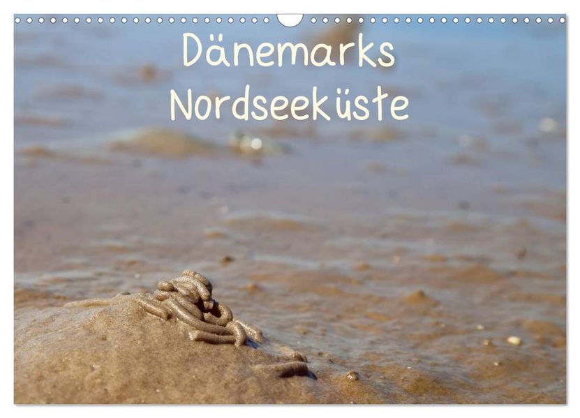 Dänemarks Nordseeküste (Wandkalender 2026 DIN A3 quer) CALVENDO Monatskalender