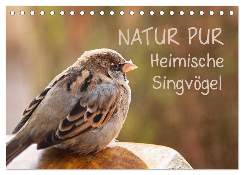 NATUR PUR Heimische Singvögel (Tischkalender 2026 DIN A5 quer) CALVENDO Monatskalender
