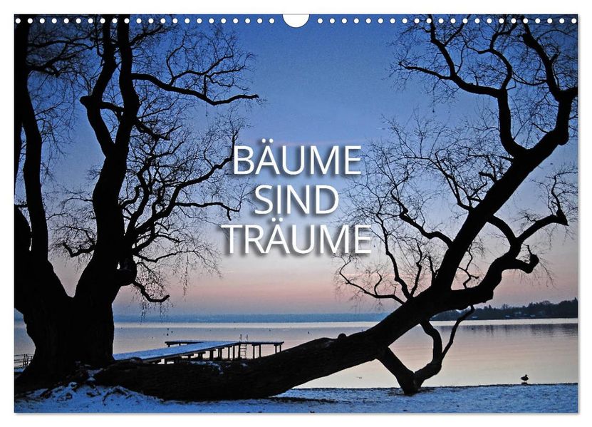 Bäume sind Träume (Wandkalender 2026 DIN A3 quer) CALVENDO Monatskalender