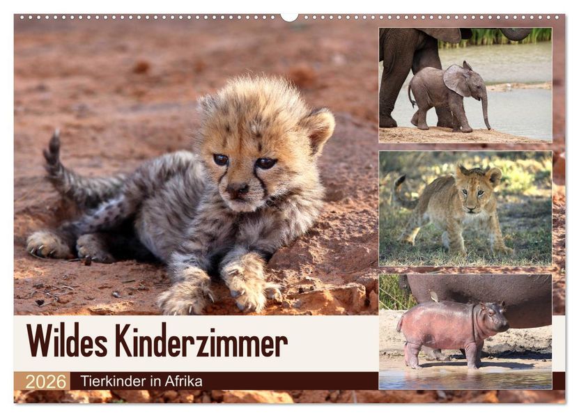 Wildes Kinderzimmer - Tierkinder in Afrika (Wandkalender 2026 DIN A2 quer) CALVENDO Monatskalender