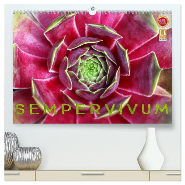 Sempervivum - Hauswurz (hochwertiger Premium Wandkalender 2026 DIN A2 quer) Kunstdruck in Hochglanz